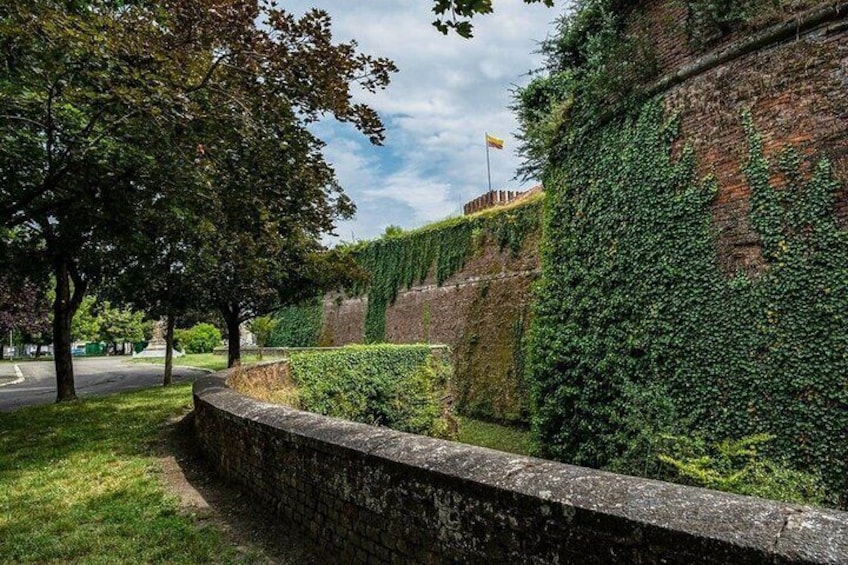 Private Walking Tour of Casale Monferrato with Guide 1