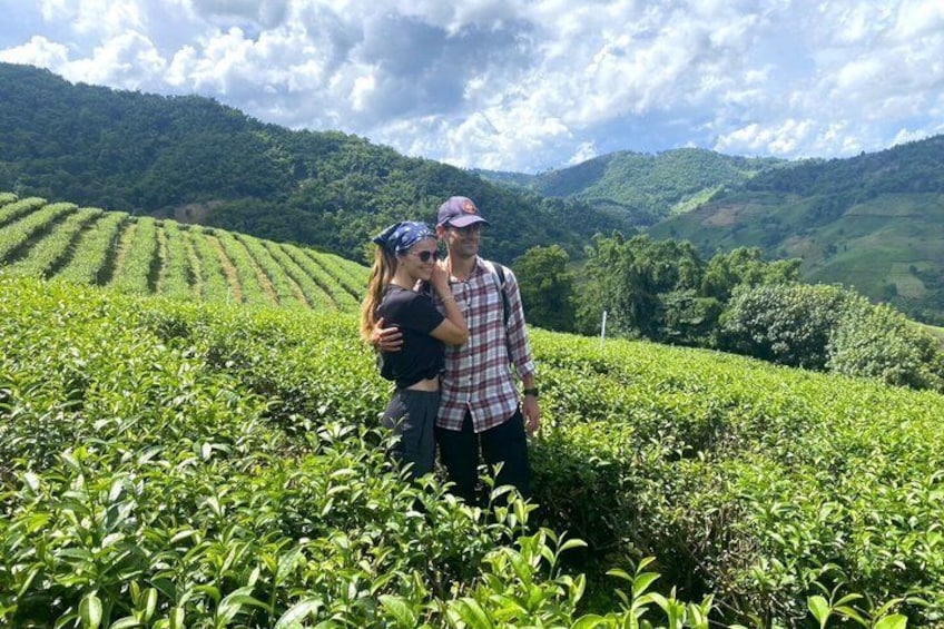 Chiang Rai Private Mountain Tour Doi Mae Salong and Doi Tung 1