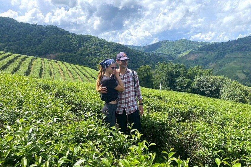 A couple standing in a tea plantation with rows of tea plants and a mountainous landscape in the background. 1
