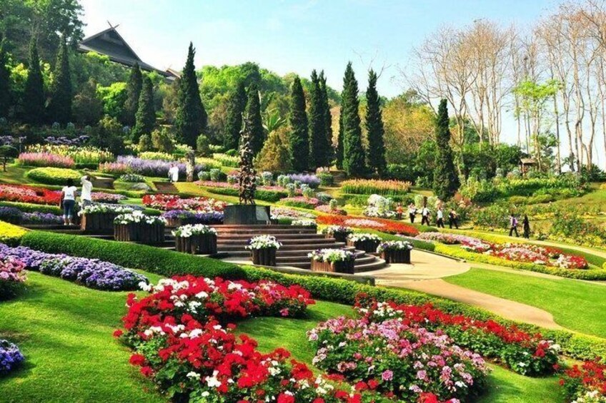 Chiang Rai Private Mountain Tour Doi Mae Salong and Doi Tung 5