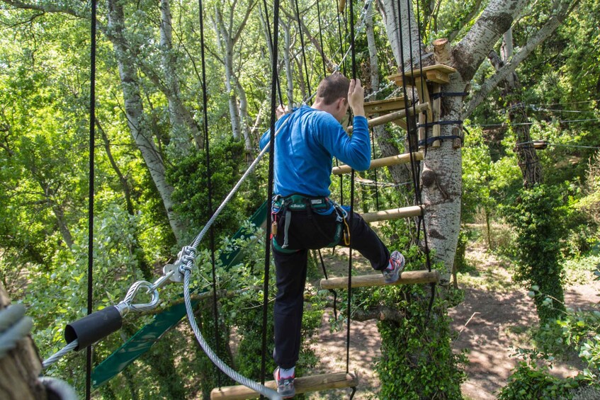 Picture 3 for Activity AccroCamp Montélimar Treetop Adventure Park Ticket 3