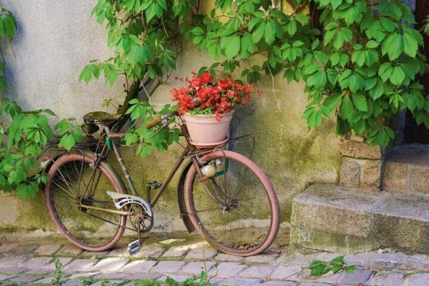 A vintage bicycle with a pink basket containing red flowers, parked against a wall with green foliage. 3