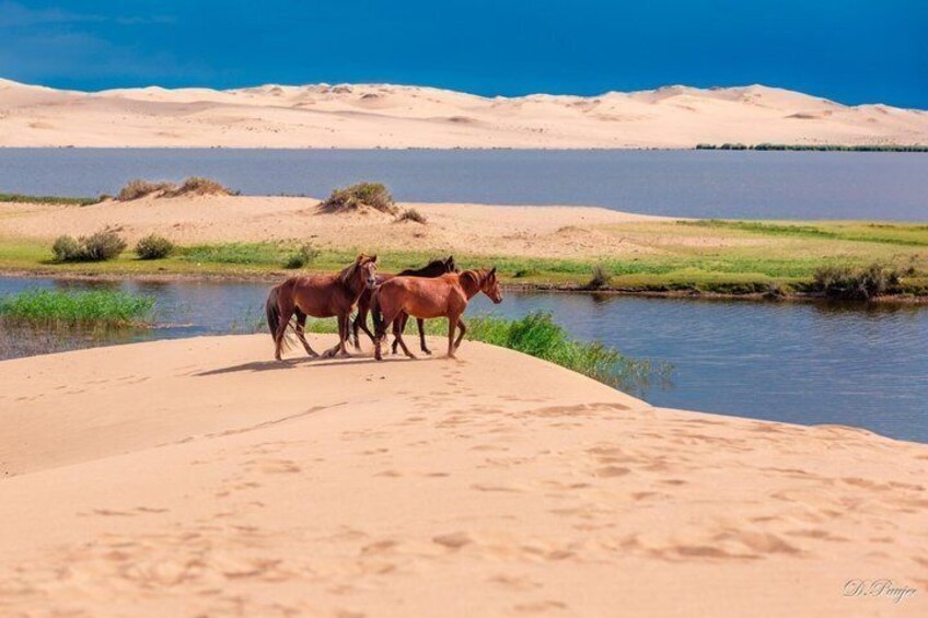 Expedition Through the Hidden Wilderness of Western Mongolia 4