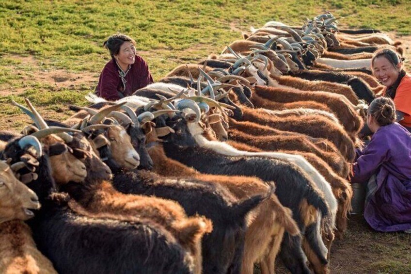 Expedition Through the Hidden Wilderness of Western Mongolia 2