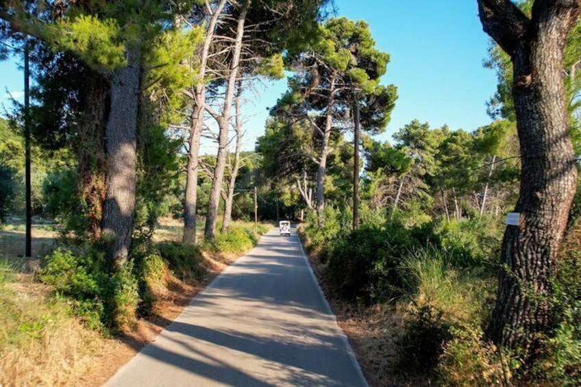 Golden Hour Eco Tuk Tuk Tour in Kefalonia 4