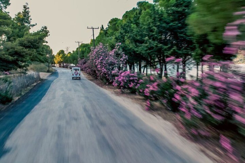Golden Hour Eco Tuk Tuk Tour in Kefalonia 2