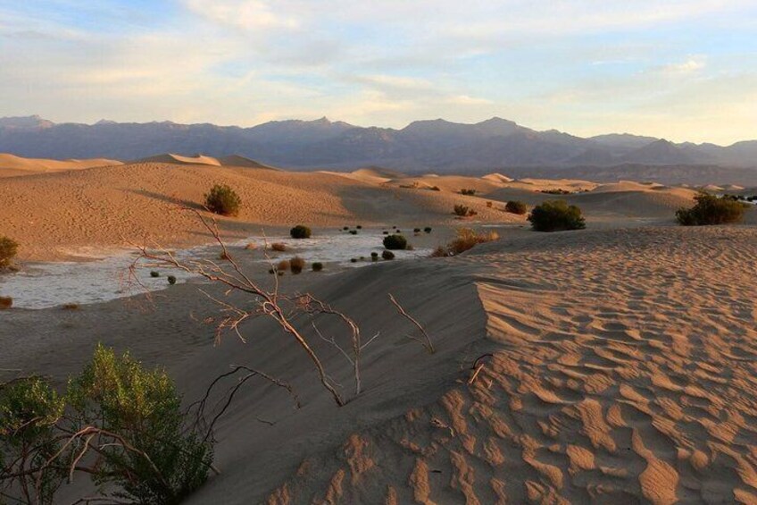 Death Valley Small Group Day Tour from Las Vegas 2