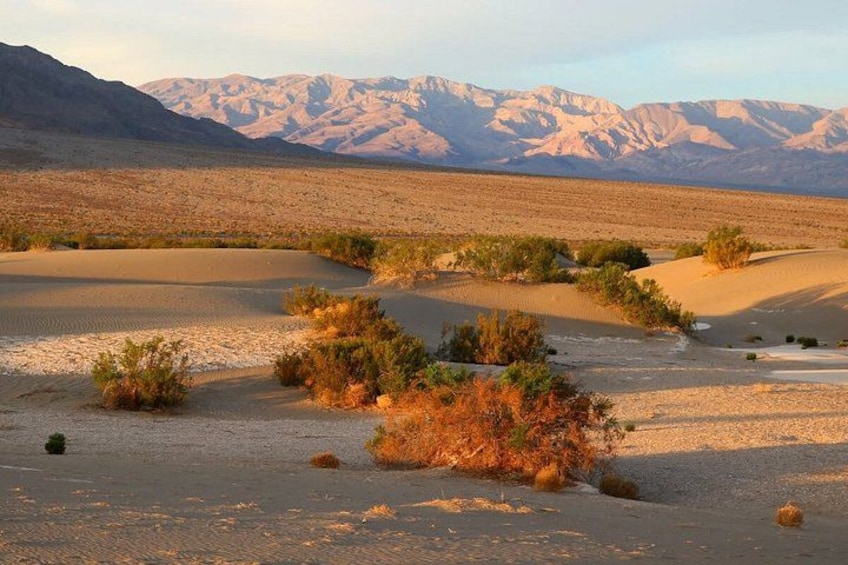 A desert landscape with sand dunes, sparse vegetation, and mountains in the background. 3