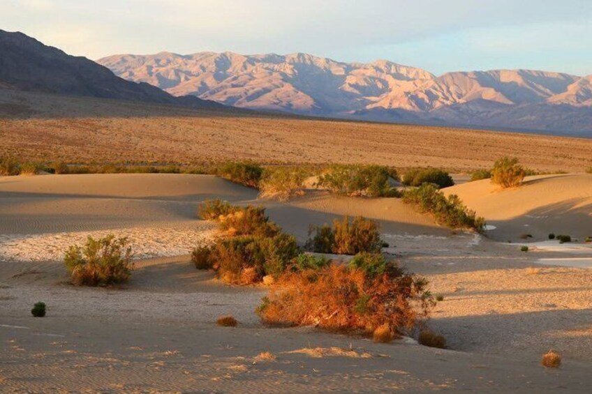 Death Valley Small Group Day Tour from Las Vegas 3