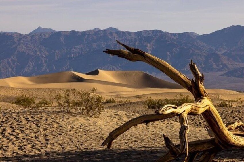 Death Valley Small Group Day Tour from Las Vegas 4