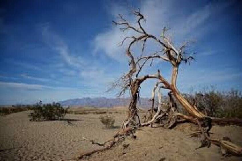 Death Valley Small Group Day Tour from Las Vegas 1