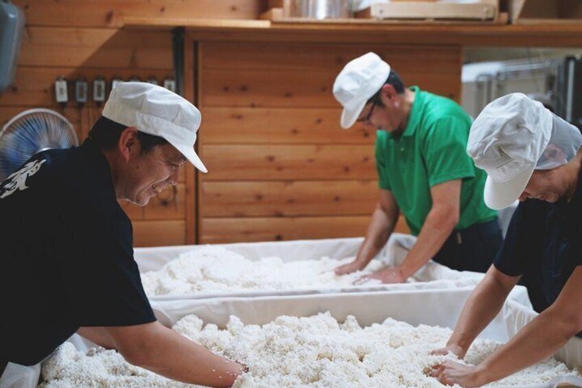 Aomori Hato Masamune Sake Brewery Tasting Tour 1