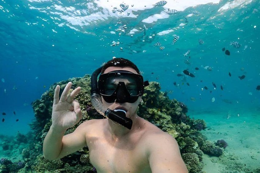 Snorkel the Christ of the Abyss Statue Key Largo Gear Included 3