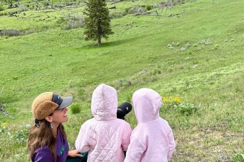 Hot Springs and Geysers Private Tour Big Sky 2