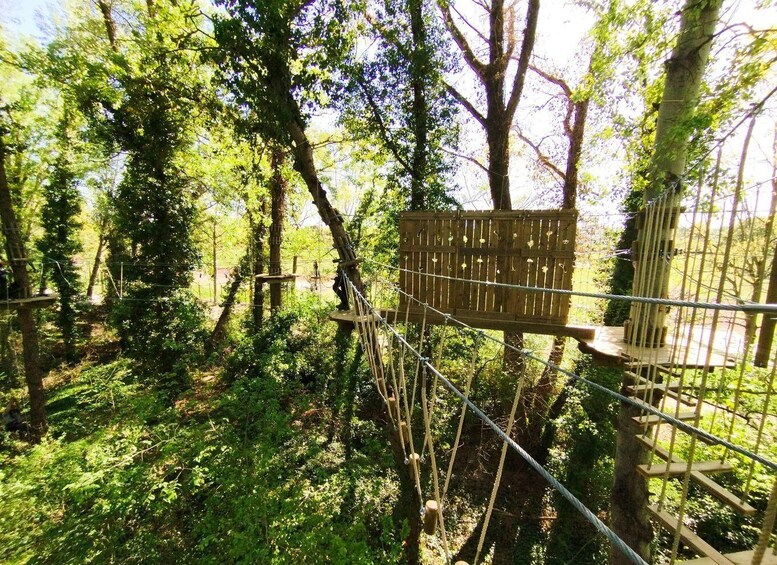 Picture 2 for Activity AccroCamp Toulouse Treetop Adventure Park Entry Ticket 3