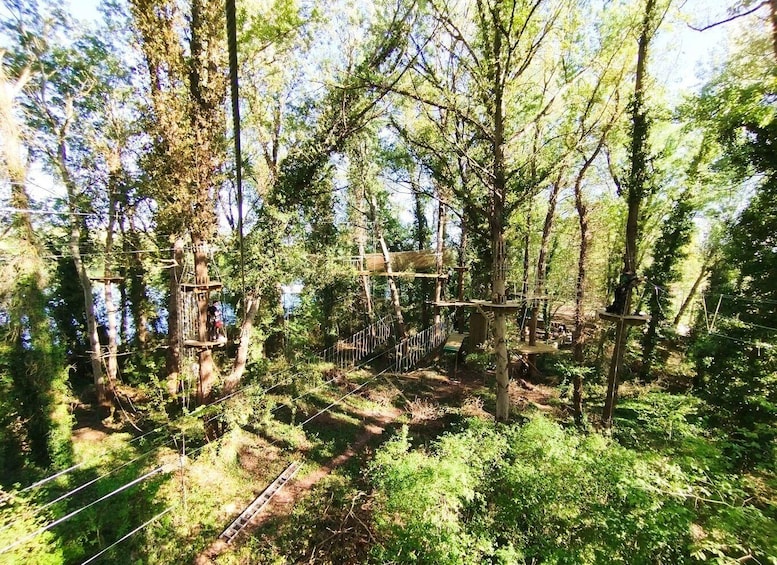 AccroCamp Toulouse Treetop Adventure Park Entry Ticket 1