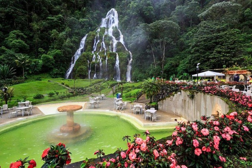A waterfall, a dining area with tables, and a flower garden. 1