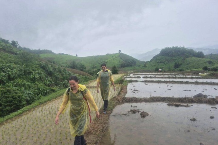 Chiang Rai Jungle Trekking with Bamboo Cooking and Hot Springs 5