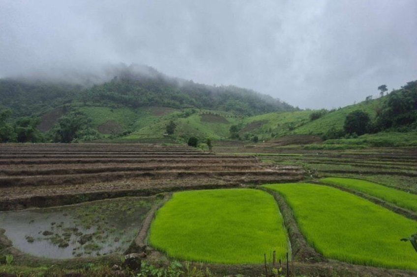 Chiang Rai Jungle Trekking with Bamboo Cooking and Hot Springs 2
