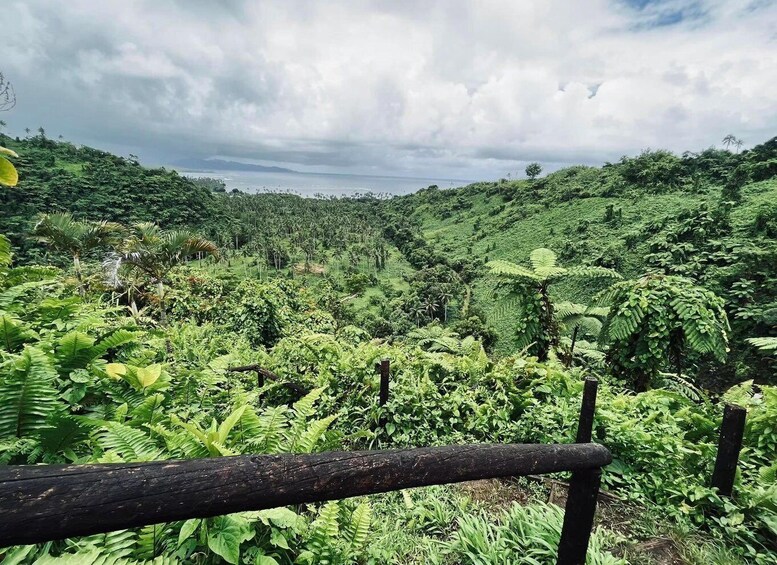 Picture 2 for Activity Taveuni: Premium Boat Tour to Triple & Hidden Waterfalls 3