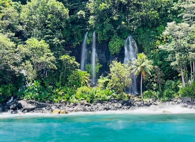 Taveuni: Premium Boat Tour to Triple & Hidden Waterfalls 1