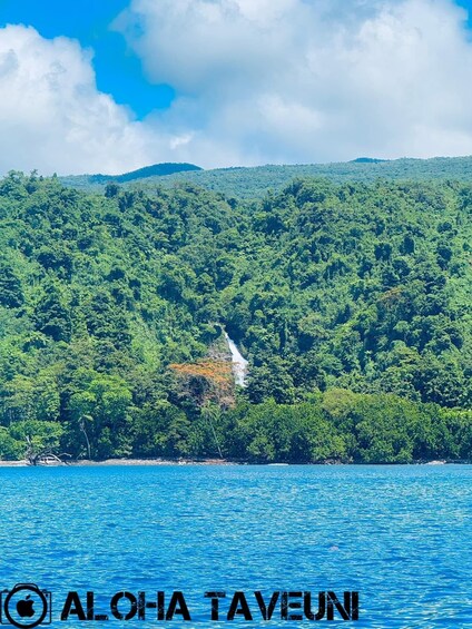 Picture 3 for Activity Taveuni: Premium Boat Tour to Triple & Hidden Waterfalls 4