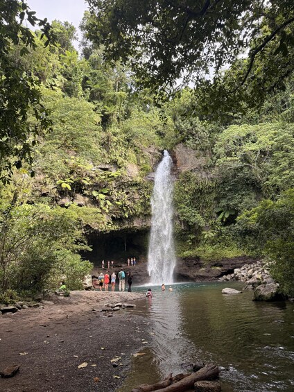 Picture 7 for Activity Taveuni: Premium Boat Tour to Triple & Hidden Waterfalls 2