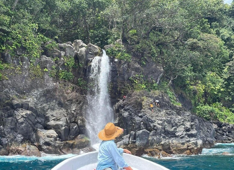 Picture 6 for Activity Taveuni: Premium Boat Tour to Triple & Hidden Waterfalls 4