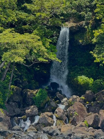 Picture 9 for Activity Taveuni: Premium Boat Tour to Triple & Hidden Waterfalls 5