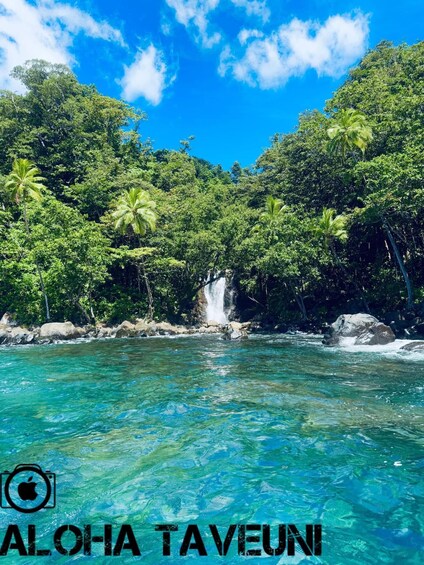 Picture 1 for Activity Taveuni: Premium Boat Tour to Triple & Hidden Waterfalls 5