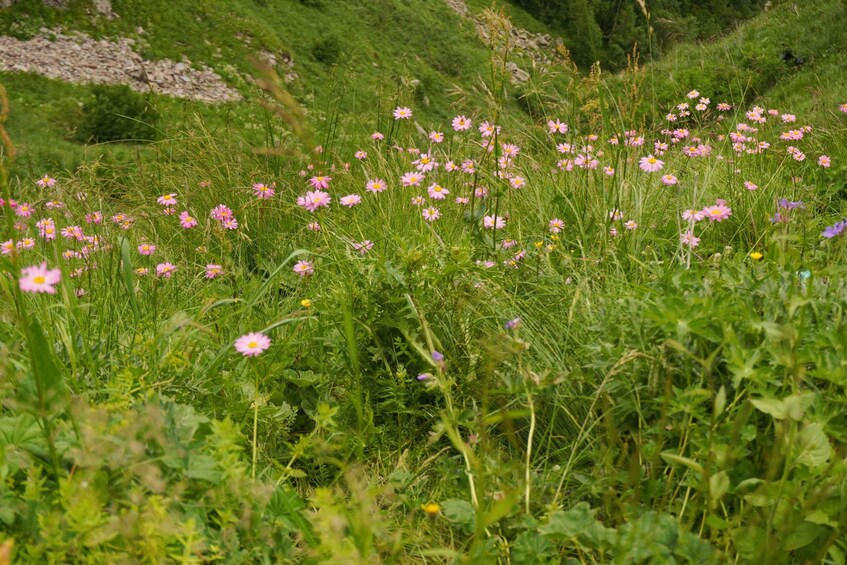 Picture 5 for Activity Kazbegi Day Tour from Tbilisi with Local Tastings 3