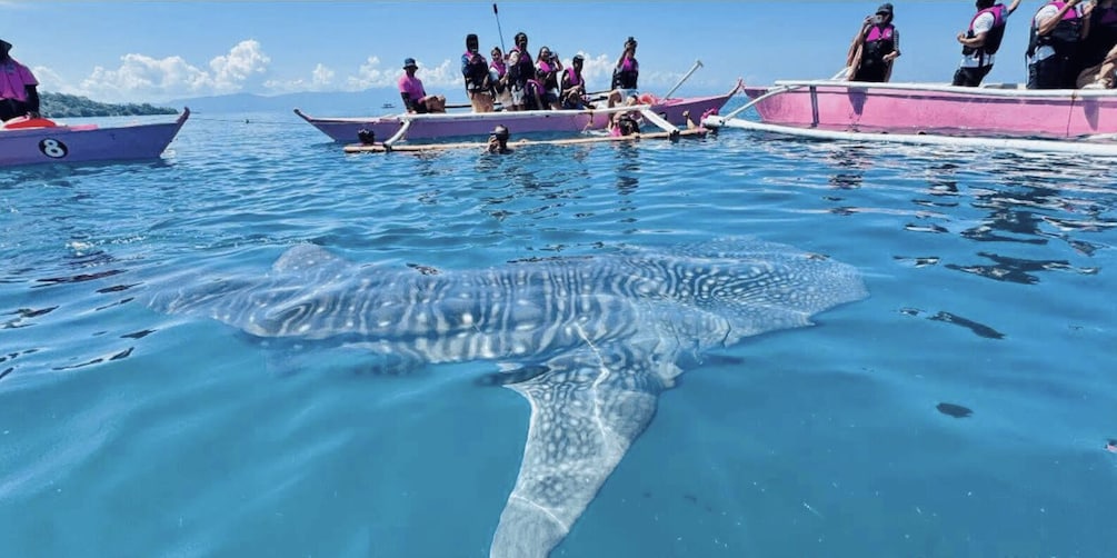A group of people on a boat, a large marine creature in the water, and a clear blue sky. 4