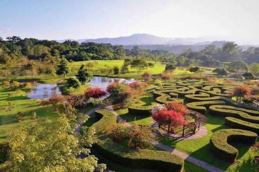 Picture 3 for Activity Xishuangbanna 4-Day Private Tour: Jungle, Tea & Temples 2