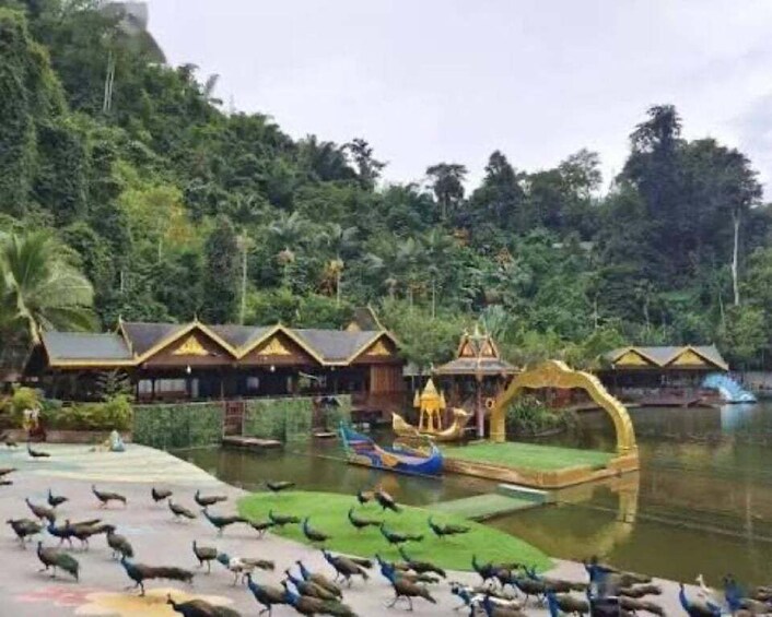 Picture 2 for Activity Xishuangbanna 4-Day Private Tour: Jungle, Tea & Temples 5