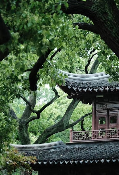 Shanghai: Yu Garden Entry Ticket & Classical Highlights 1
