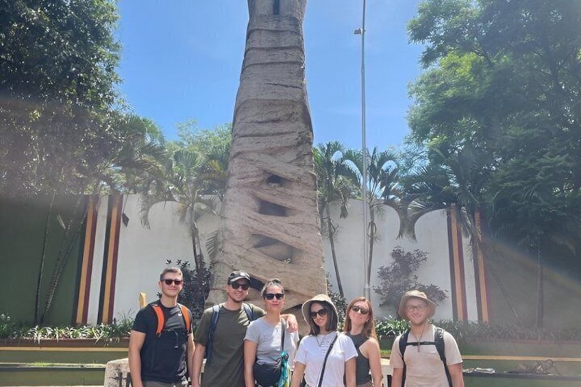 A group of people standing in front of a tall, narrow tree with a textured trunk. 5