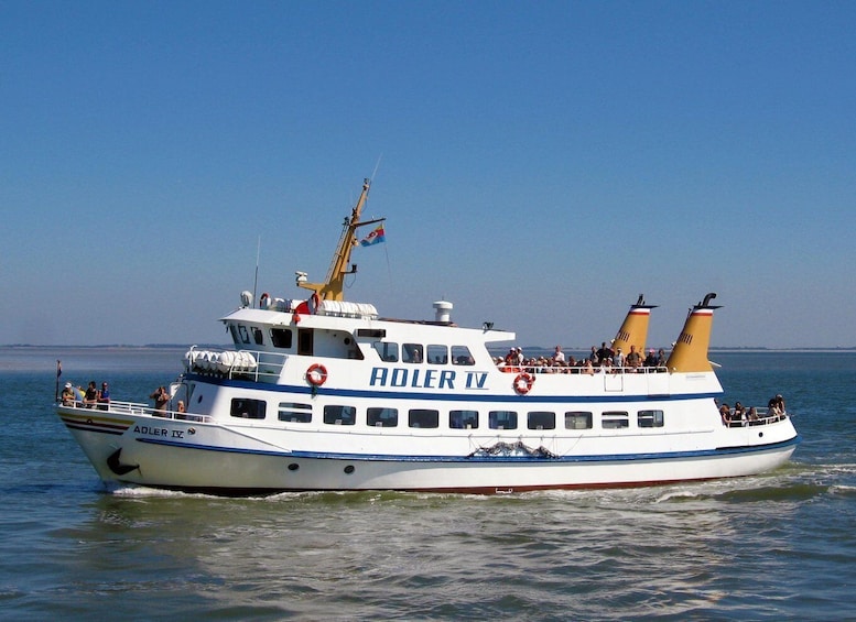 Picture 2 for Activity Kühlungsborn (boat station): Panoramic round trip to Warnemünde without going ashore 3
