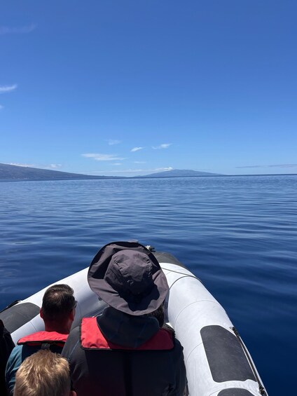 Picture 4 for Activity São Jorge: Whale and Dolphin Watching Tour with Biologist 4