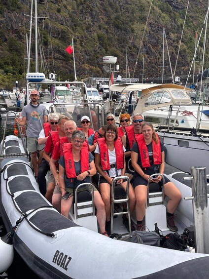 Picture 3 for Activity São Jorge: Whale and Dolphin Watching Tour with Biologist 5