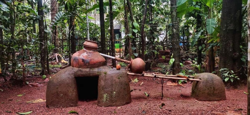 Picture 2 for Activity Goa: Spice Plantation Tour and Traditional Local Lunch 2