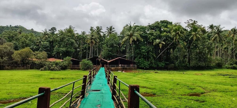 Goa: Spice Plantation Tour and Traditional Local Lunch 1