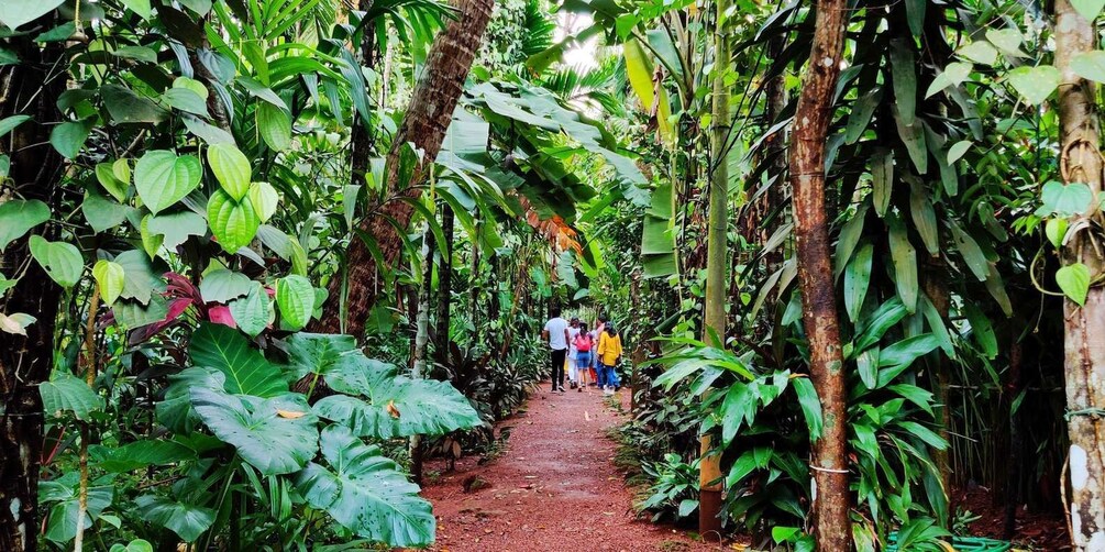 Picture 6 for Activity Goa: Spice Plantation Tour and Traditional Local Lunch 5