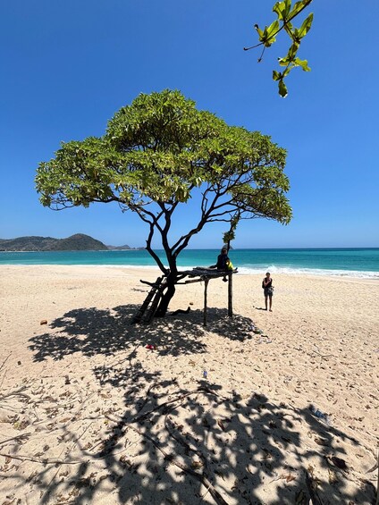 A beach with a large tree providing shade, a wooden structure, and a person standing nearby. 5