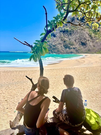 Two people sitting on a beach with a tree in the foreground and ocean waves in the background. 4
