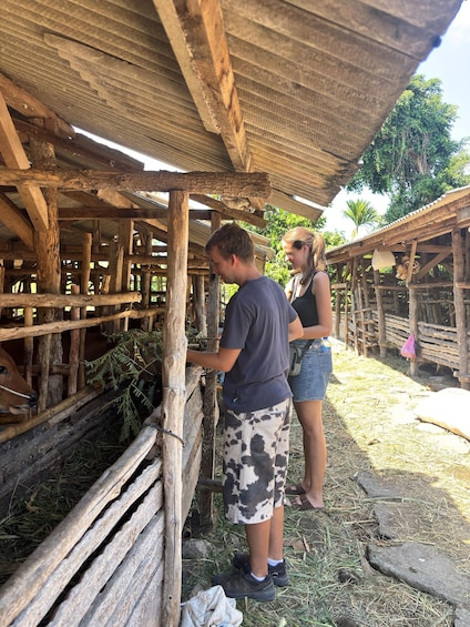Two people near a wooden structure with a metal roof, surrounded by greenery. 2