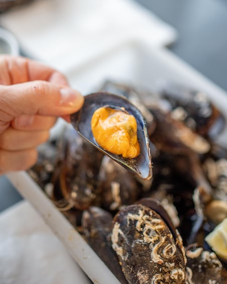 Picture 7 for Activity Mussel Route with food tasting in the Ría de Pontevedra 2