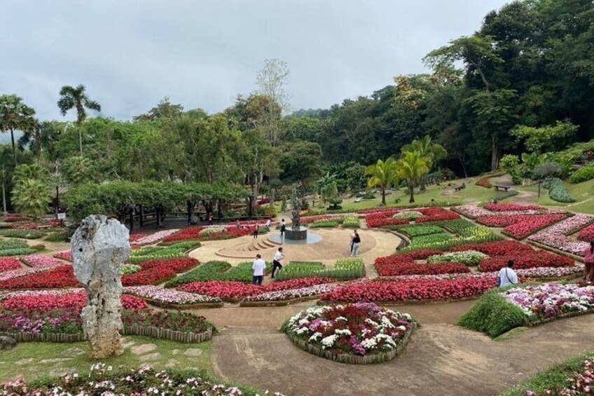 Private Doi Mae Salong and Doi Tung Guided Tour from Chiang Rai 4