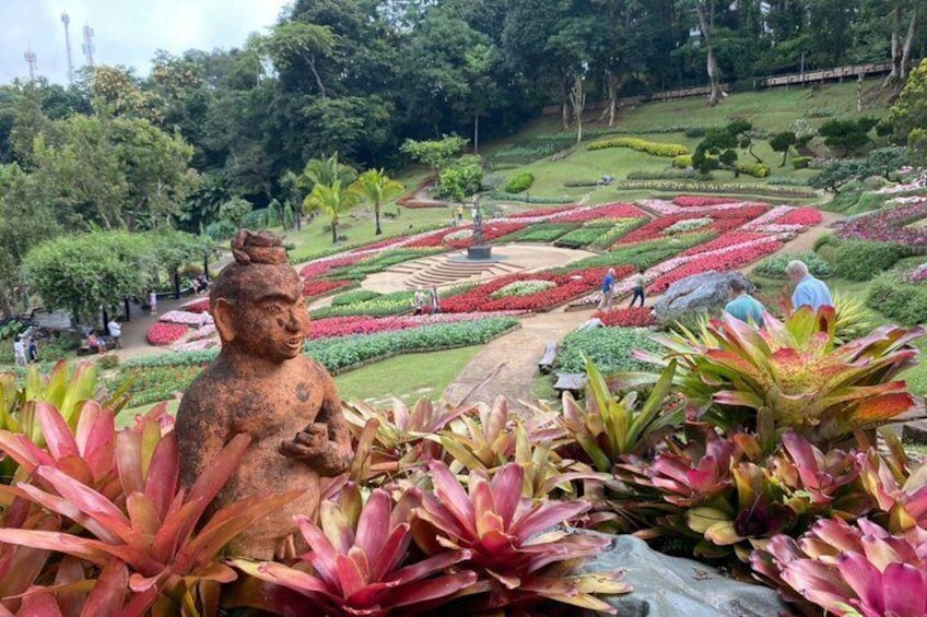Private Doi Mae Salong and Doi Tung Guided Tour from Chiang Rai 5