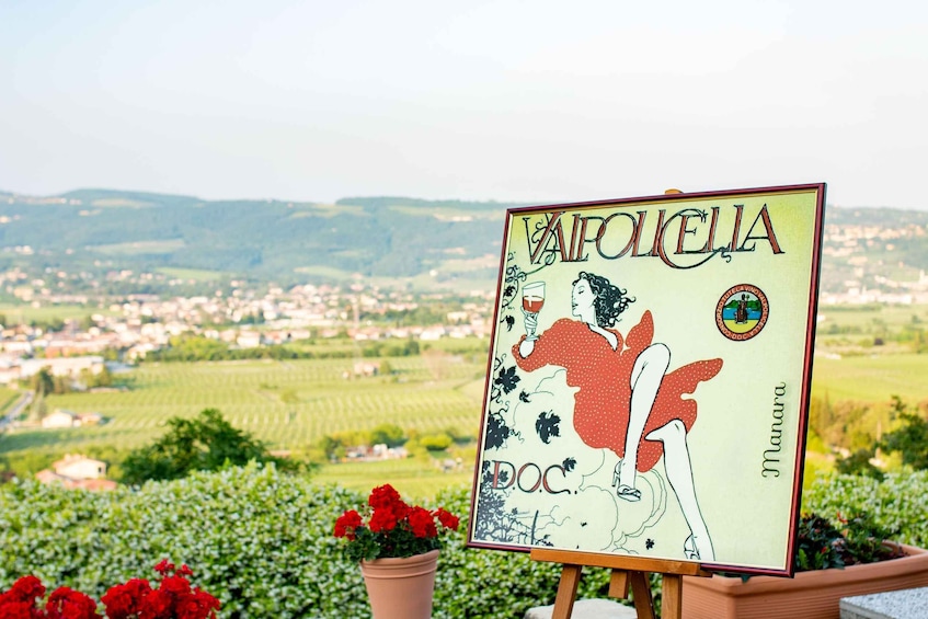 Picture 1 for Activity Premium Food Tasting in Valpolicella Classica - Borghetti Giampiero Winery 2