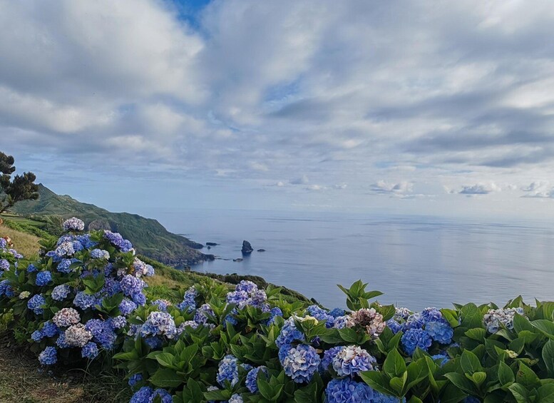 Picture 2 for Activity Flores Wild West Coast Hike: Lajedo – Fajã Grande Adventure 2